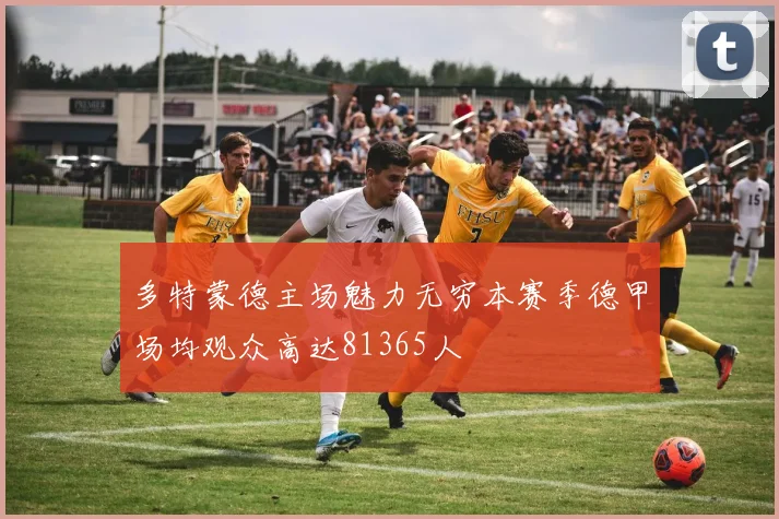 多特蒙德主场魅力无穷本赛季德甲场均观众高达81365人